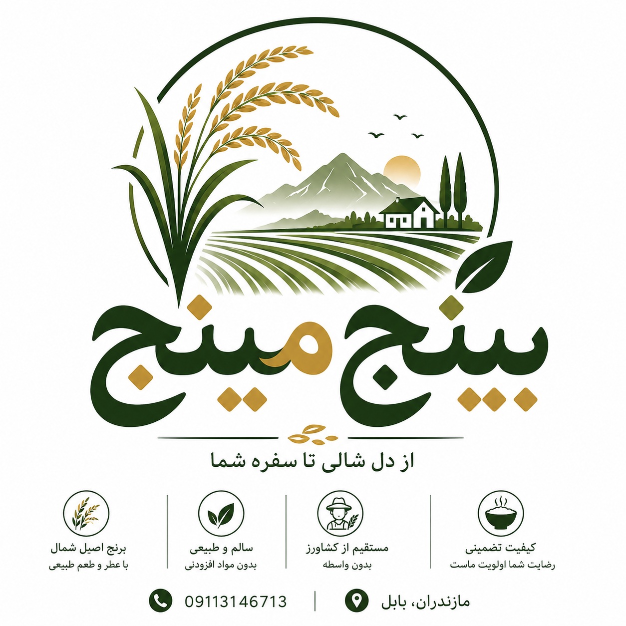 خرید آنلاین برنج شمال | بینچ مینچ